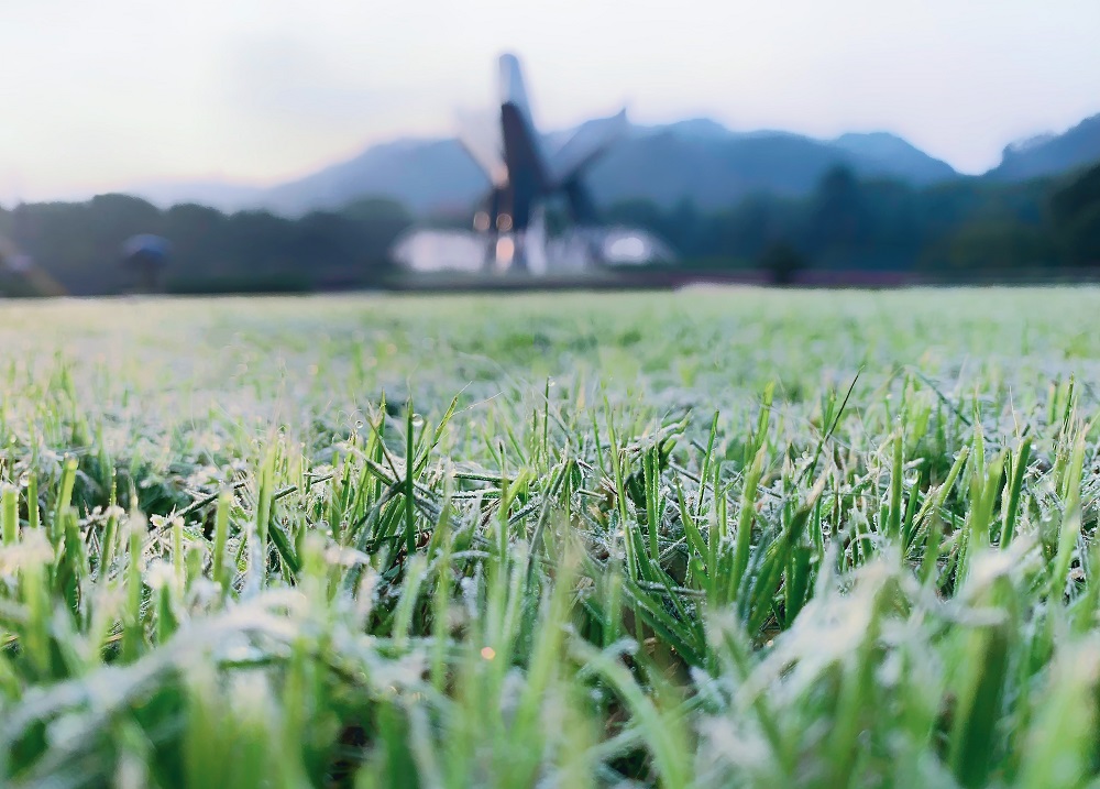 1707034612233049804.jpg 微信图片_20240110134937 - 副本.jpg