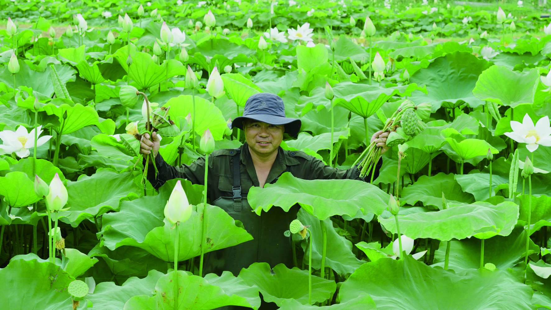 1753086199938080627.jpg 采荷图.jpg