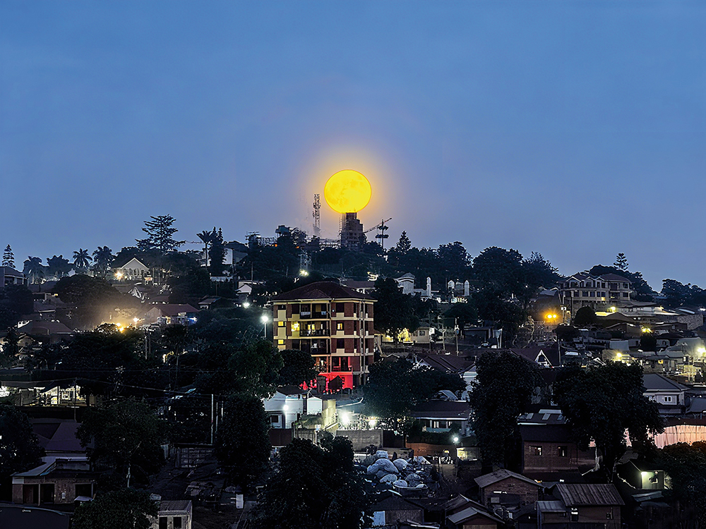 1760952868065017266.jpg 王佳.jpg